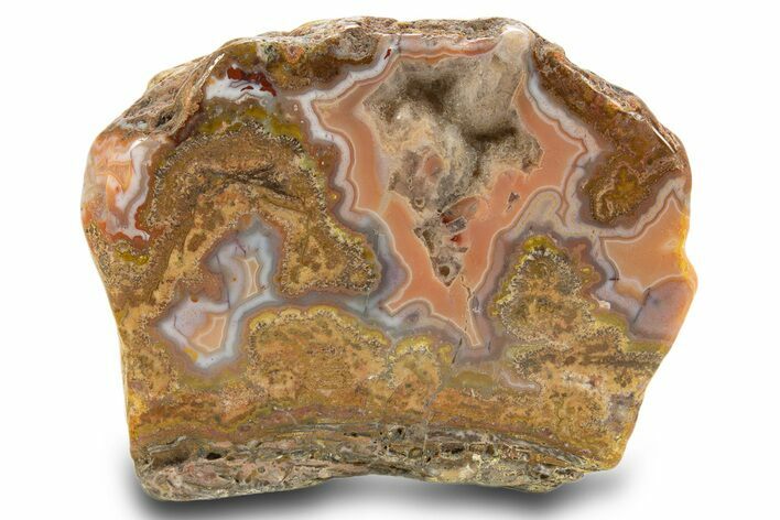 Polished Berber Agate Section - Sidi Rahal, Morocco #324030